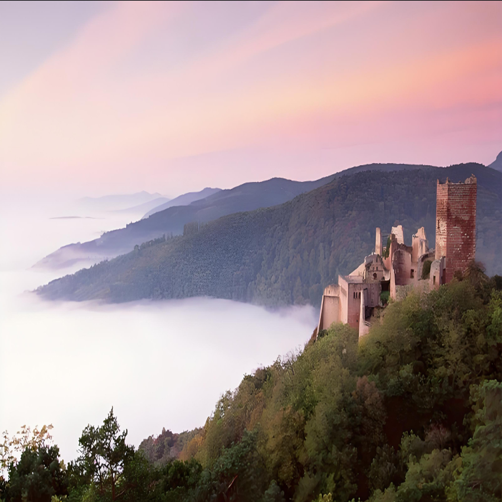 العلامة التجارية الجديدة الأصل - مراجعة Print Head Cleaning Kit وسعره